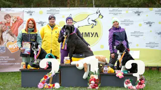 «Золото» и «серебро» взяли владимирские спортсмены на турнире по собаководству