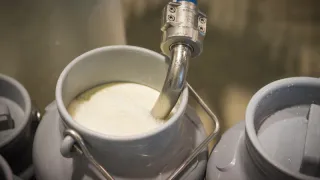 Крашеная мелом вода: Росконтроль назвал марки молока, которые лучше не брать даже по акции