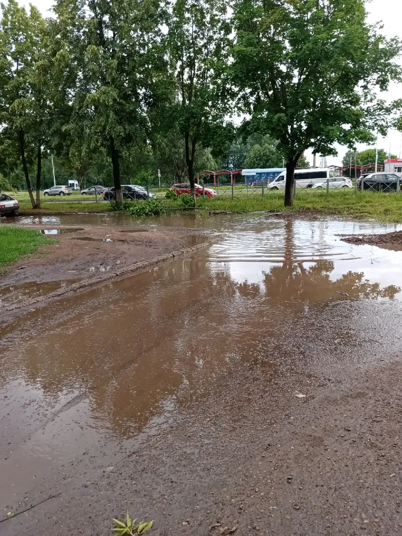 В городе есть лужа, которая не высыхает даже в знойную жару