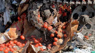 Брянские пограничники задержали груз турецких томатов