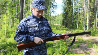 Охотника в Коми накажут за утерю своего оружия