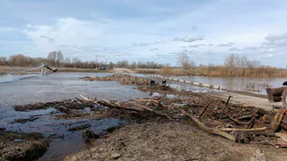 Половодье набирает силу: в МЧС сообщили о подъёме уровня воды на реках Татарстана