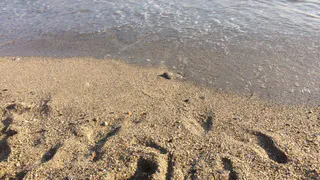 "Не повторяйте наших ошибок": российские туристы рассказали о кошмаре на Черном море