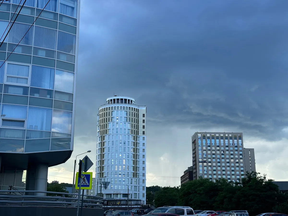 В Пензенской области ведется расследование по факту нападения на ребенка