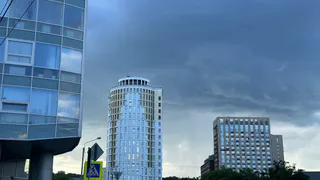 В Пензенской области ведется расследование по факту нападения на ребенка