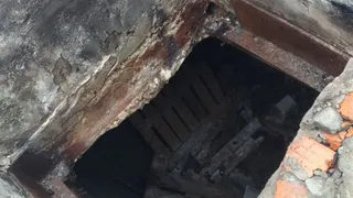 Тело нашли на окраине: в Рязани волонтеры наткнулись на труп