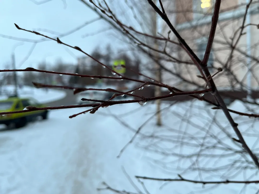 Погода Магнитогорска: 9 февраля прогнозируется резкое потепление