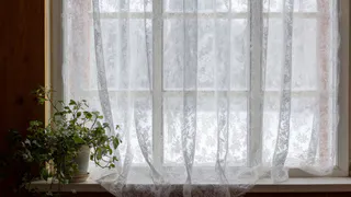 2 ложки в таз - и серый тюль снова белоснежный: желтизна смывается прямо на глазах
