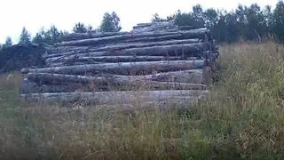 Россельхознадзор оштрафовал фермера в Коми за заброшенные земли