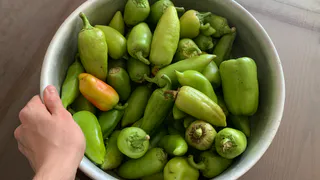 20 неприхотливых сортов-гибридов сладкого перца: вкуснейшие перцы, которые поражают своей урожайностью 