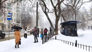 Такого снега не было с 1772: заморозки придут в Россию уже через пару дней - Роман Вильфанд поделился новым прогнозом