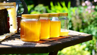 Сахар вместо мёда: названы 7 марок, которые не прошли новую проверку Роскачества - не берите даже даром