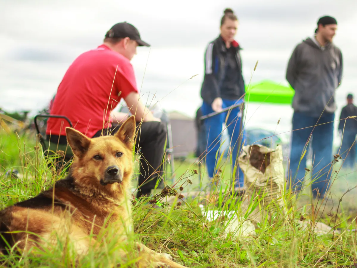 Алексей Текслер посоветовал, как незабываемо провести майские праздники в Челябинской области