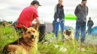 Гороскоп на 25 января: Козероги окажутся в центре споров, а Раков ждут испытания терпения