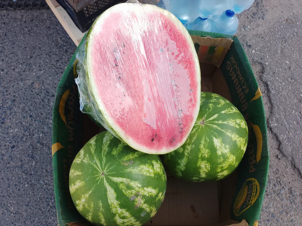 Челябинскую область накрыло арбузным цунами: объемы выросли в 7 раз