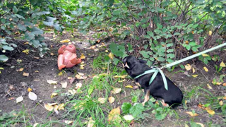 В Мордовии женщина убила трех новорожденных детей