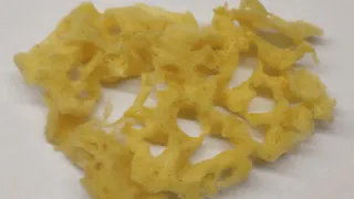 Ученые из Коми разработали уникальный катализатор на основе морских губок