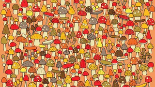 Прокачайте свою внимательность!