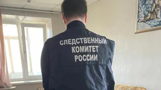 В Рязани мужчина подозревается в смертельной расправе кирпичом