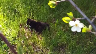 Долго ждали: в середине мая рязанцам обещают небывалую жару