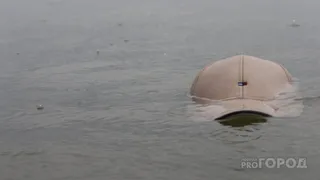 Отправился порыбачить: под Рязанью мужчина утонул в озере