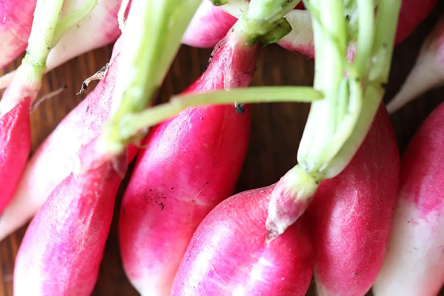 Эффективные методы защиты редиса от вредителей с помощью древесной золы