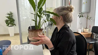 Орхидея и антуриум скажут вам "спасибо": вот что необходимо делать с комнатными растениями