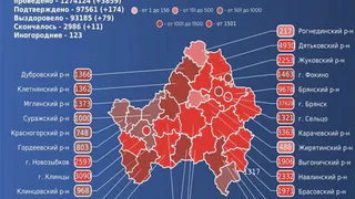 За сутки от COVID-19 умерли 11 брянцев