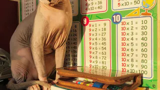 Насколько вы умны? Тест на проверку вашего уровня эрудиции!