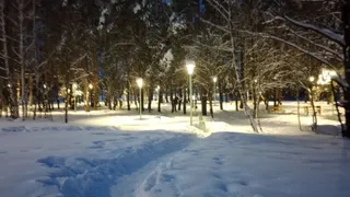 В Пензе 6 марта ожидается мороз до −10 градусов и пасмурная погода