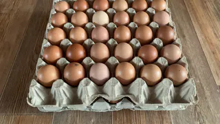 Что не так с яйцами из магазина: вот почему их называют «куриными критическими днями» - а мы их покупаем решетками