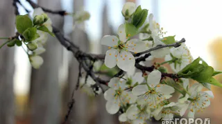 Облачно и тепло: прогноз погоды в Магнитогорске на 5 мая