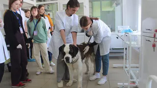 В Никологорах научат выявлять опаные болезни животных