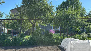 Три ложки на кучу и перегниют даже старые ветки: идельный компост без всяких хлопот - земля словно пух