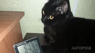 Народный контроль: рязанцы требуют отключить отопление