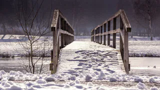 В Коми рассмотрят проект моста через одну из рек