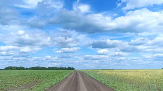 В Рязанской области продолжаются работы на полях