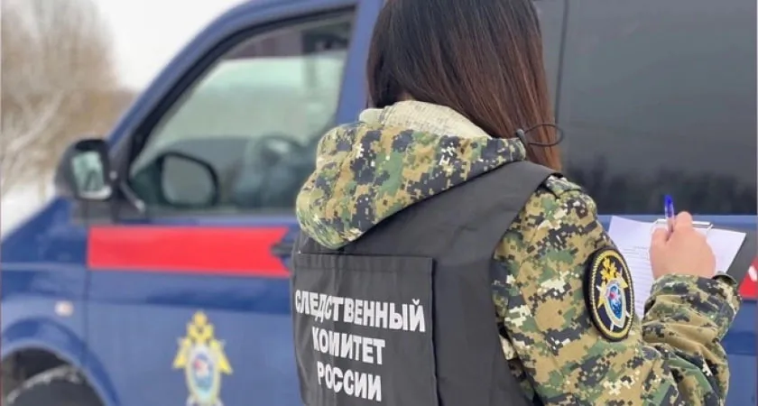 Житель Владимирской области до смерти избил приятеля подлокотником от кресла
