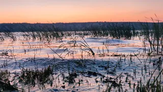 Аномальная мартовская жара и майский холод: синоптики дали новый прогноз на весну 2025 года