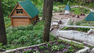 Рязанские юннаты из школы №47 исследовали природу Окского заповедника