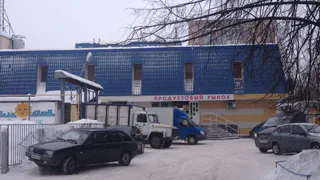 В Нижнекамске вместо «Пестречинки» будут продуктовые рынки?