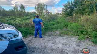 В Камешковском районе спасли заблудившегося в лесу 72-летнего грибника