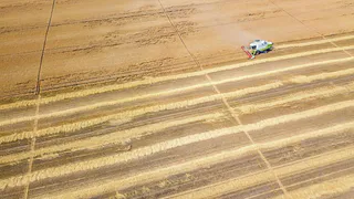 В Коми оценили состояние посевов озимой ржи и многолетних трав