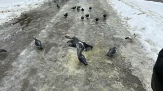 МЧС Рязанской области предупредило об опасной погоде 10 декабря