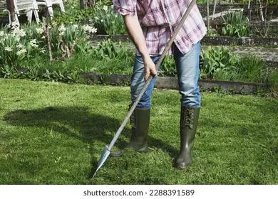 Правила дачной жизни изменились