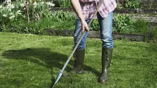 Правила дачной жизни изменились