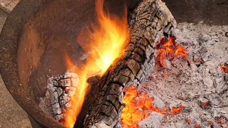 Культуры, которым не подходит зола: что нужно знать