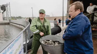 Магнитогорцам объяснили, кто и зачем вылавливает рыбу в «Притяжении»