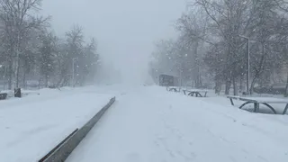 Прогноз погоды в России на середину декабря 2025