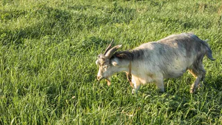 Дожди не помешают урожаю: посевная кампания 2024 года идет полным ходом